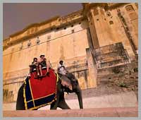 Elephant Ride in Jaipur